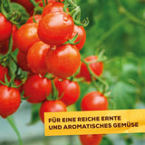 Solabiol  SolabiolTomatendünger gesunde kräftige Pflanzen