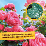Solabiol Pilzfrei AF 750 ml anwendungsfertig