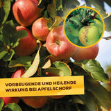 Solabiol Pilzfrei AF 750 ml anwendungsfertig