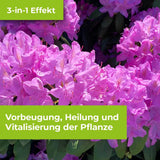 Protect Garden Alitis Spezial-Pilzfrei Spritz- oder Gießmittel