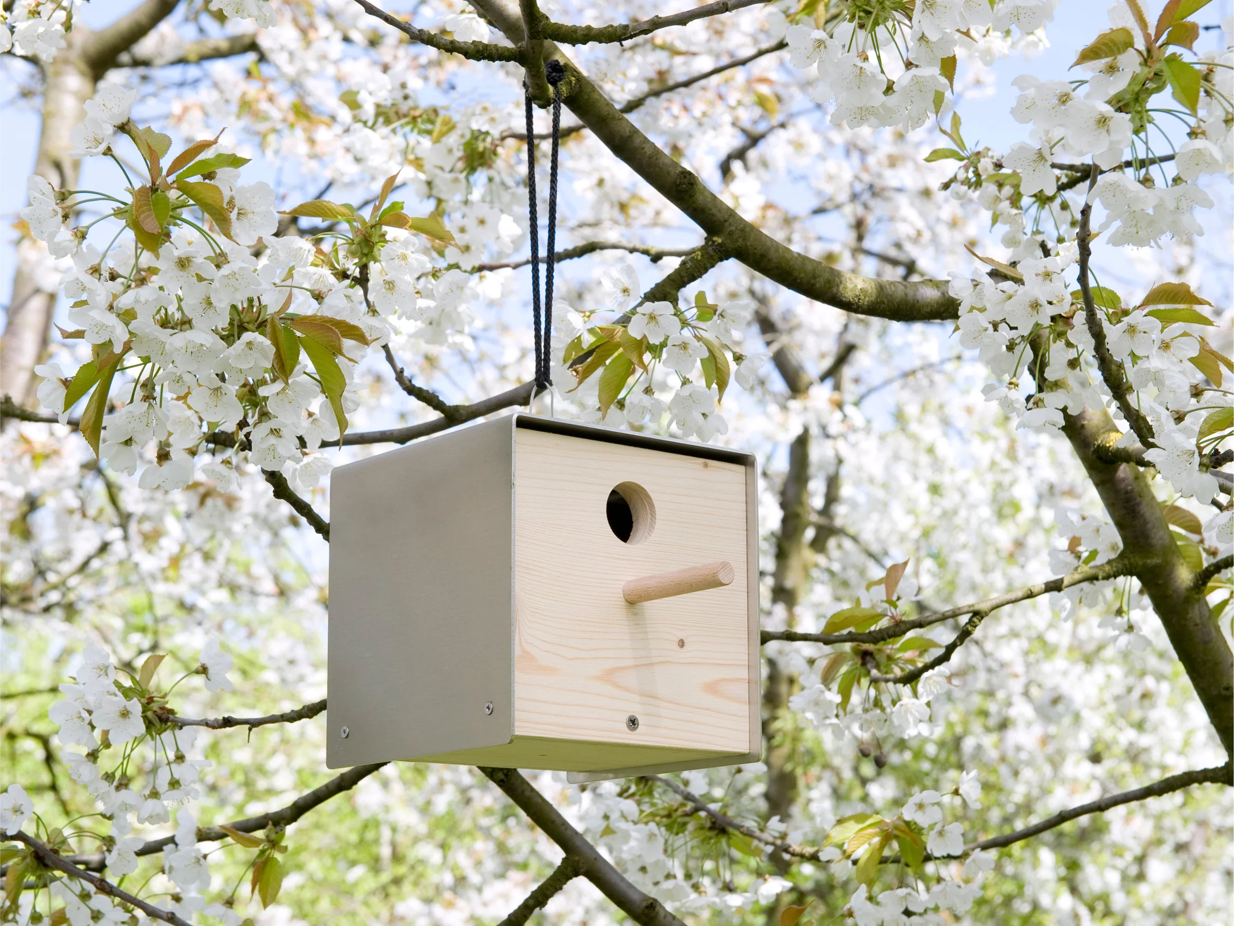 Vogelhäuschen Twitter