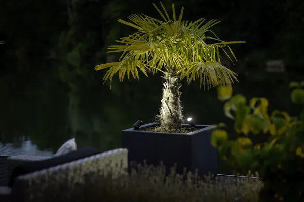 Gartenstrahler Castor Smart 300 lm 