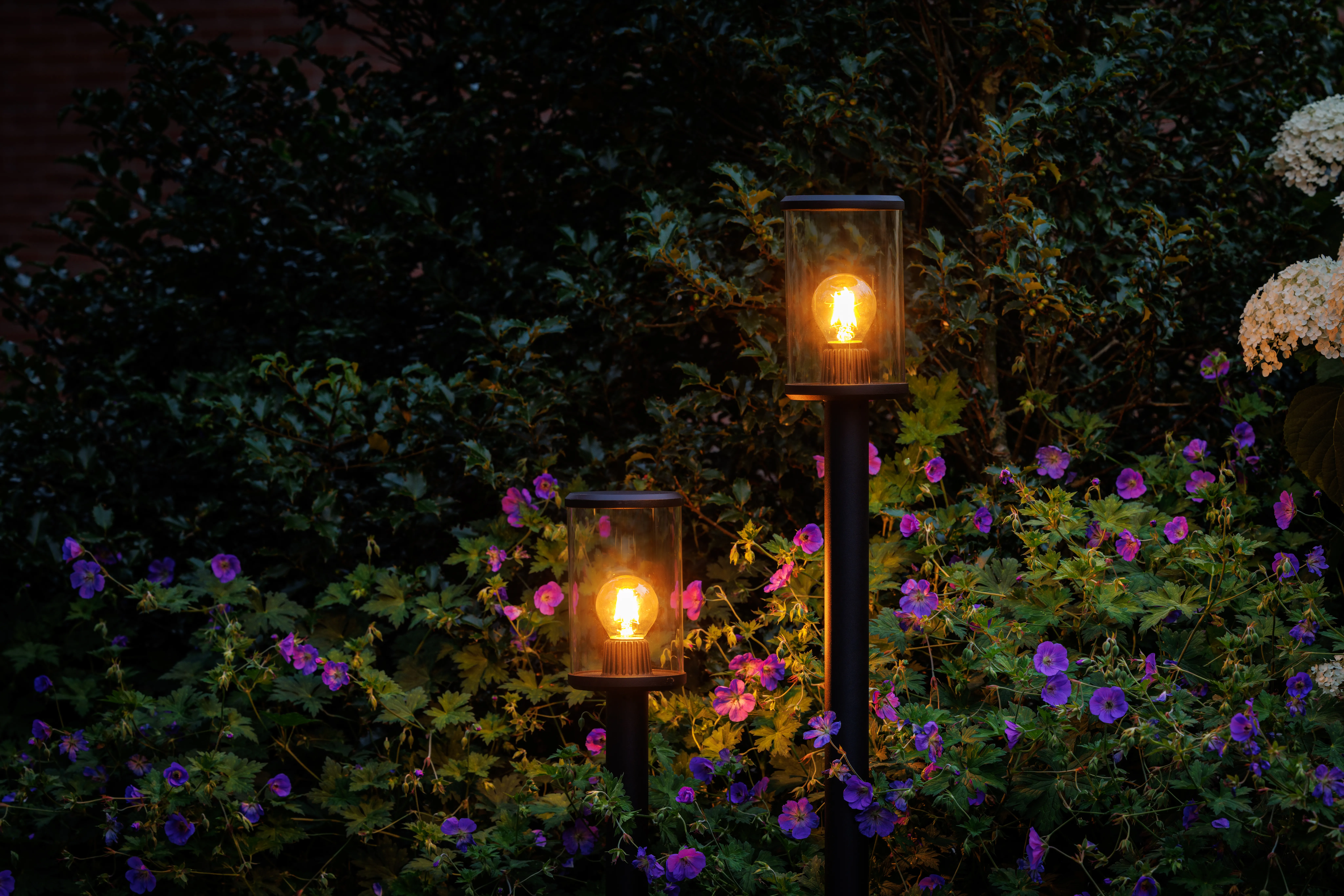 gartenbeleuchtung-start-in-002