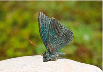 Bronzefigur Schmetterling 