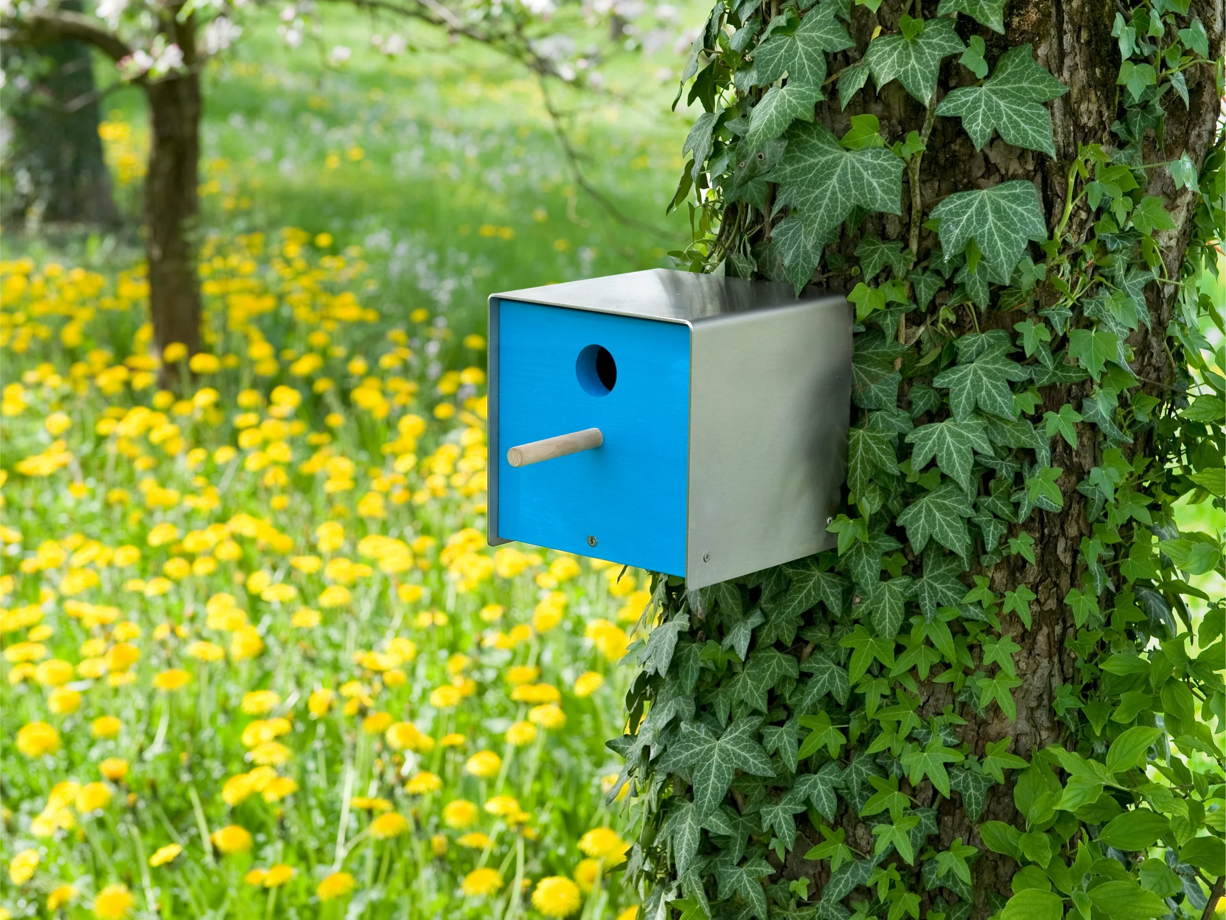 Vogelhäuschen Twitter