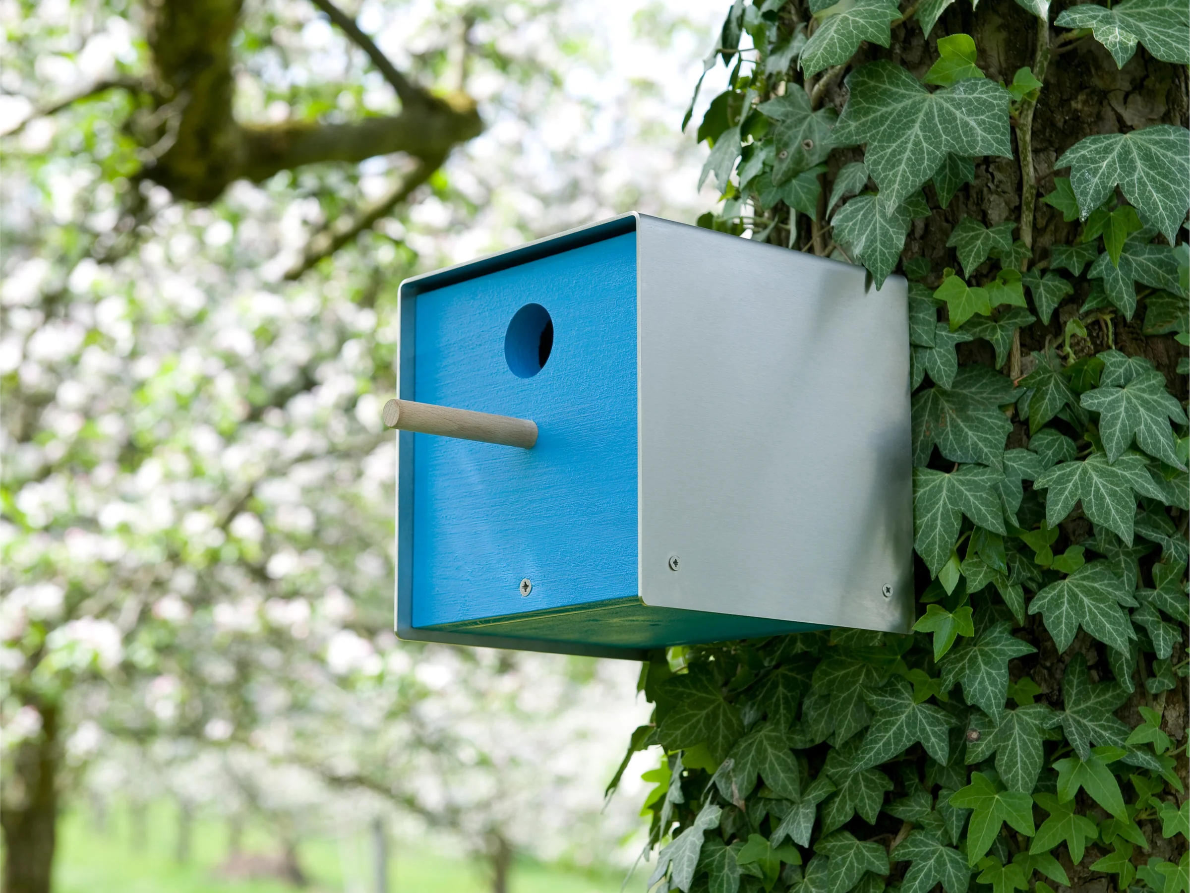 Vogelhäuschen Twitter